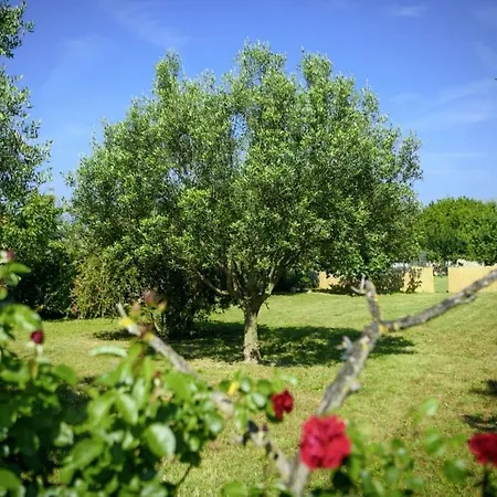 Istria Rosa In Pula - Istrien-2